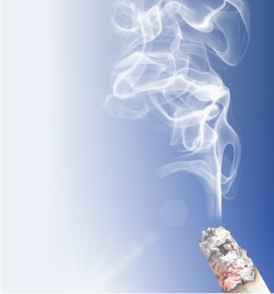 С подобным вопросом к нам все чаще обращаются заинтересованные представители гостиниц и общежитий, справедливо полагающие, что зачастую причиной пожара является непотушенный окурок сигареты в местах, запрещенных для курения.