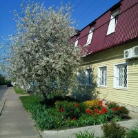 ООО "Перспектива"